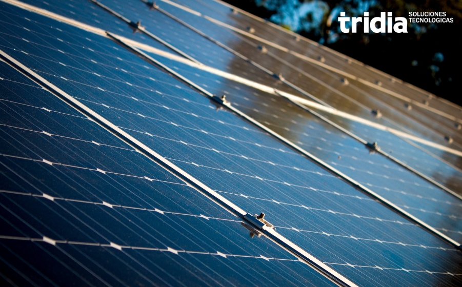 Usuarios podrán generar energía renovable con paneles solares